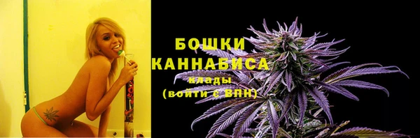 дживик Белокуриха