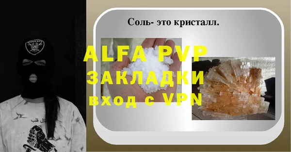 дживик Белокуриха