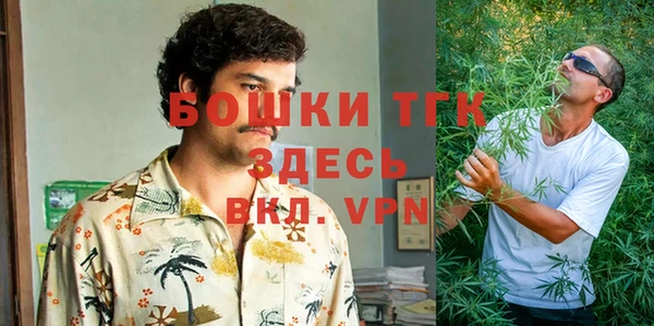дживик Белокуриха