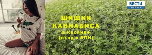 дживик Белокуриха