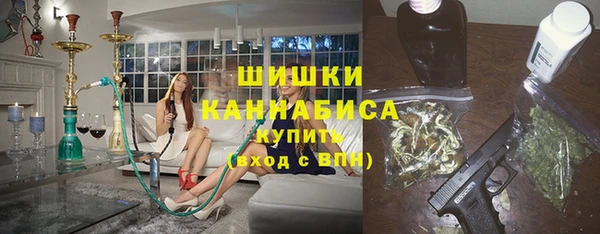дживик Белокуриха